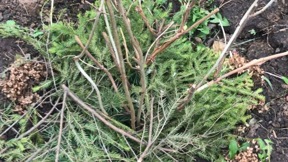 Фото: REGIONS/Елена Фурман