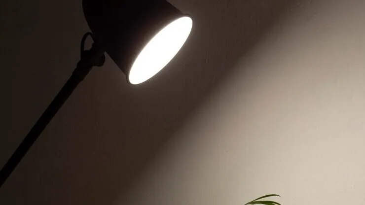 Фото: freepik.com