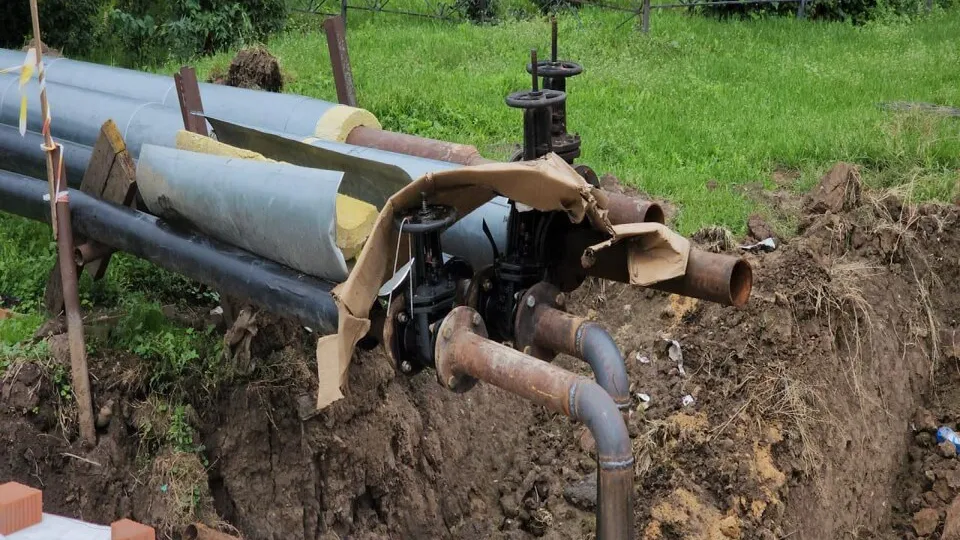 Фото: Иван Дубров