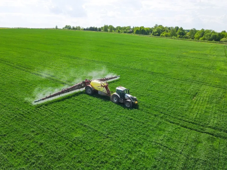 Фото: пресс-служба администрации г.о. Кашира