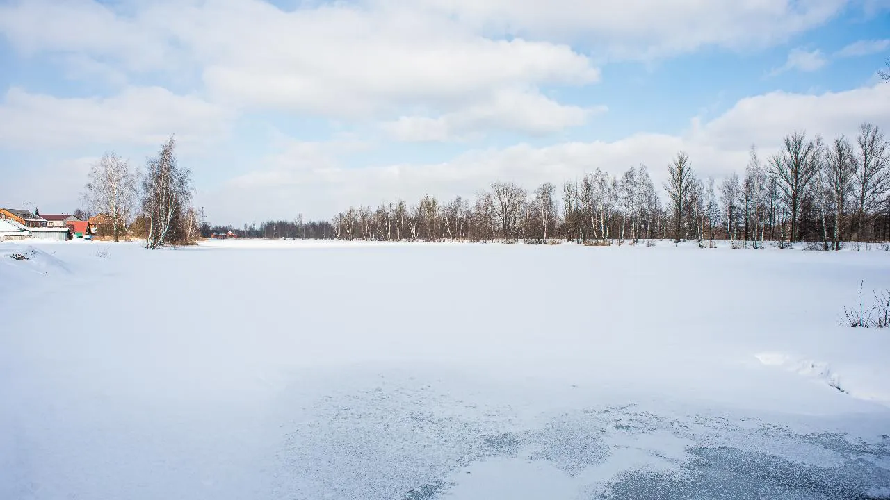 Около 50 га областной земли передали в аренду в Подмосковье за год