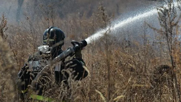 Житель Читы поджег лес из любопытства