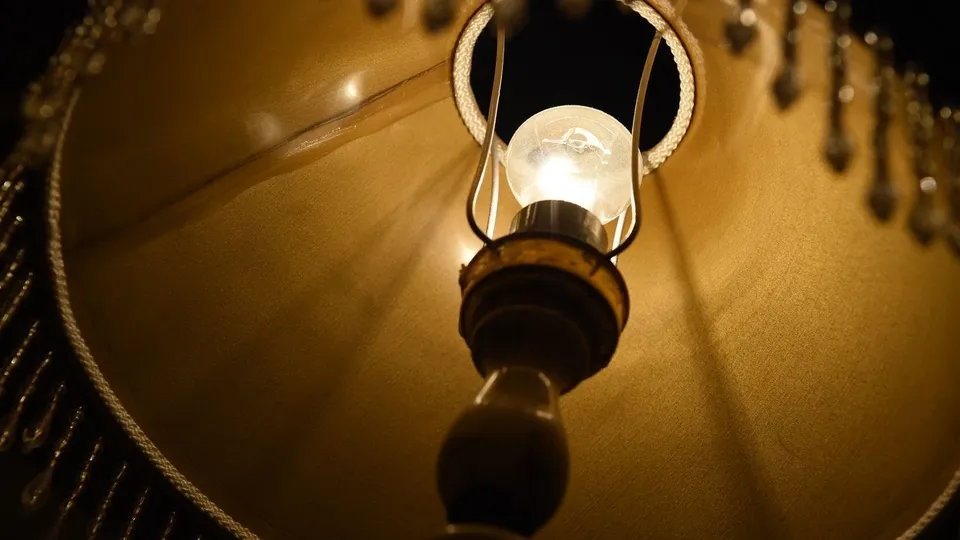 Фото: Медиаархив Подмосковья