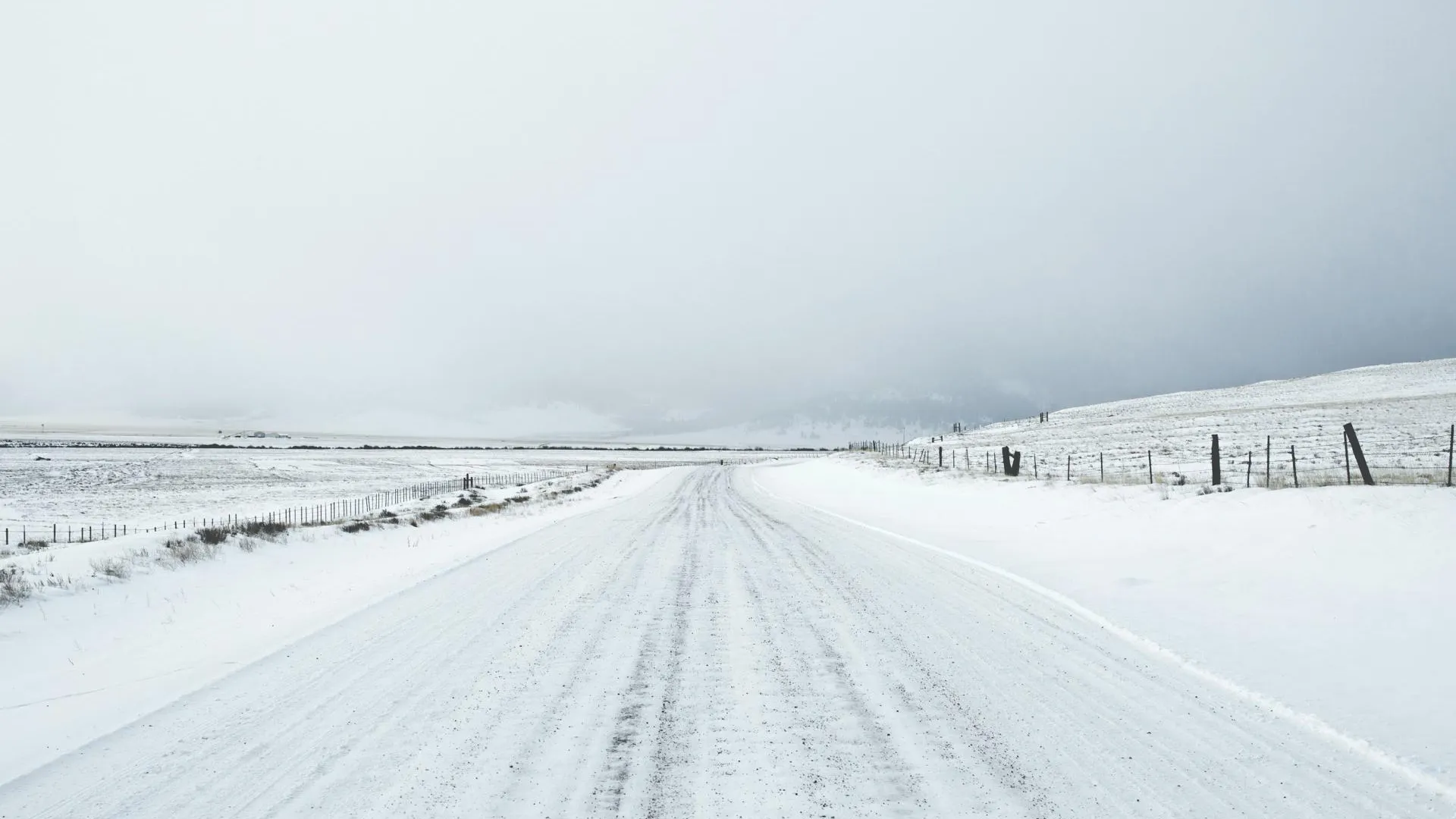 REGIONS/Дмитрий Некрасов