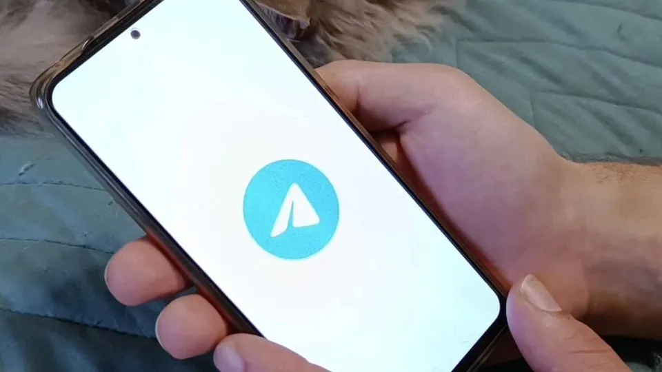 Фото: МедиаБанк Подмосковья/Екатерина Дятловская