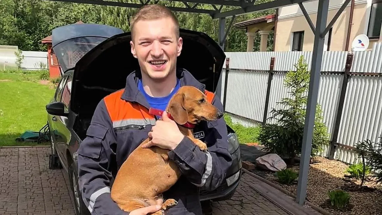 В Чехове спасли таксу, которая застряла под капотом автомобиля