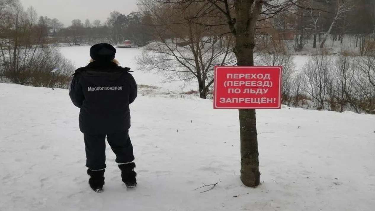 Фото: ГКУ МО «Мособлпожспас»