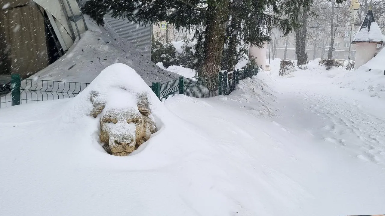 Андрей Башинский