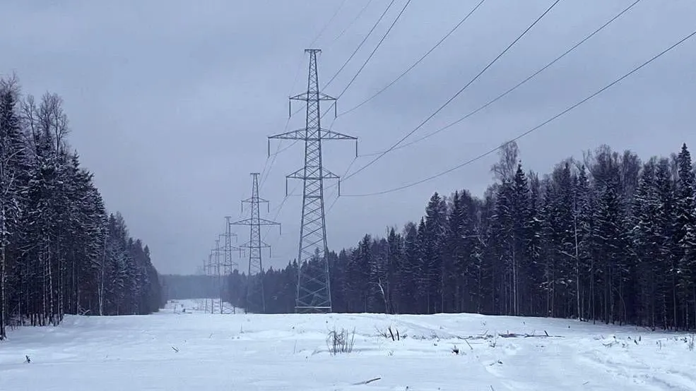 Фото: пресс-служба «Россети»