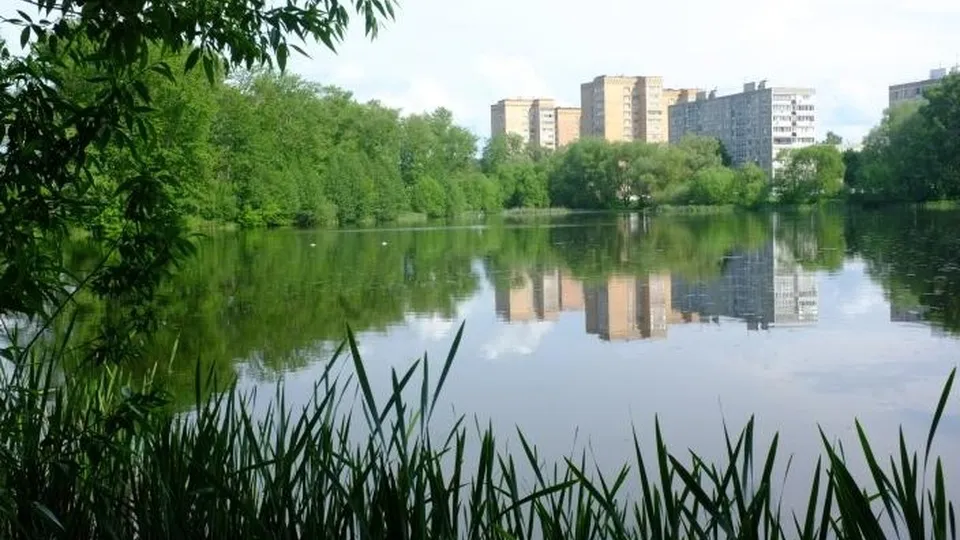 Фото: пресс-служба Администрации г.о. Воскресенск