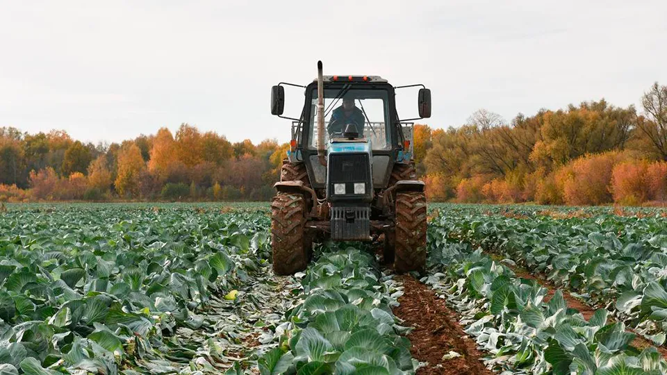 Фото: t.me/s_dvoinykh