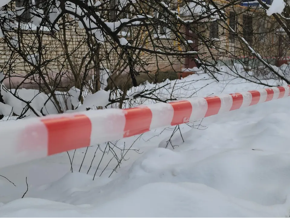 Фото: МедиаБанк Подмосковья/Артем Мишуков