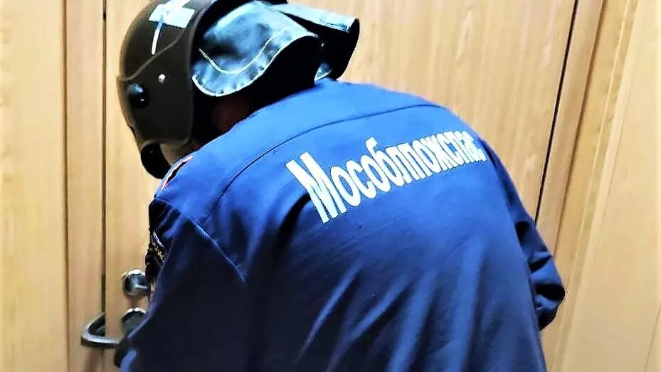 Фото: пресс-служба ГКУ МО «Мособлпожспас»