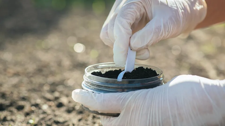 istockphoto.com/HappyNati