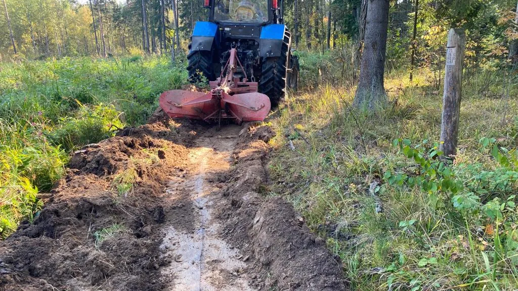 Комитет лесного хозяйства Московской области