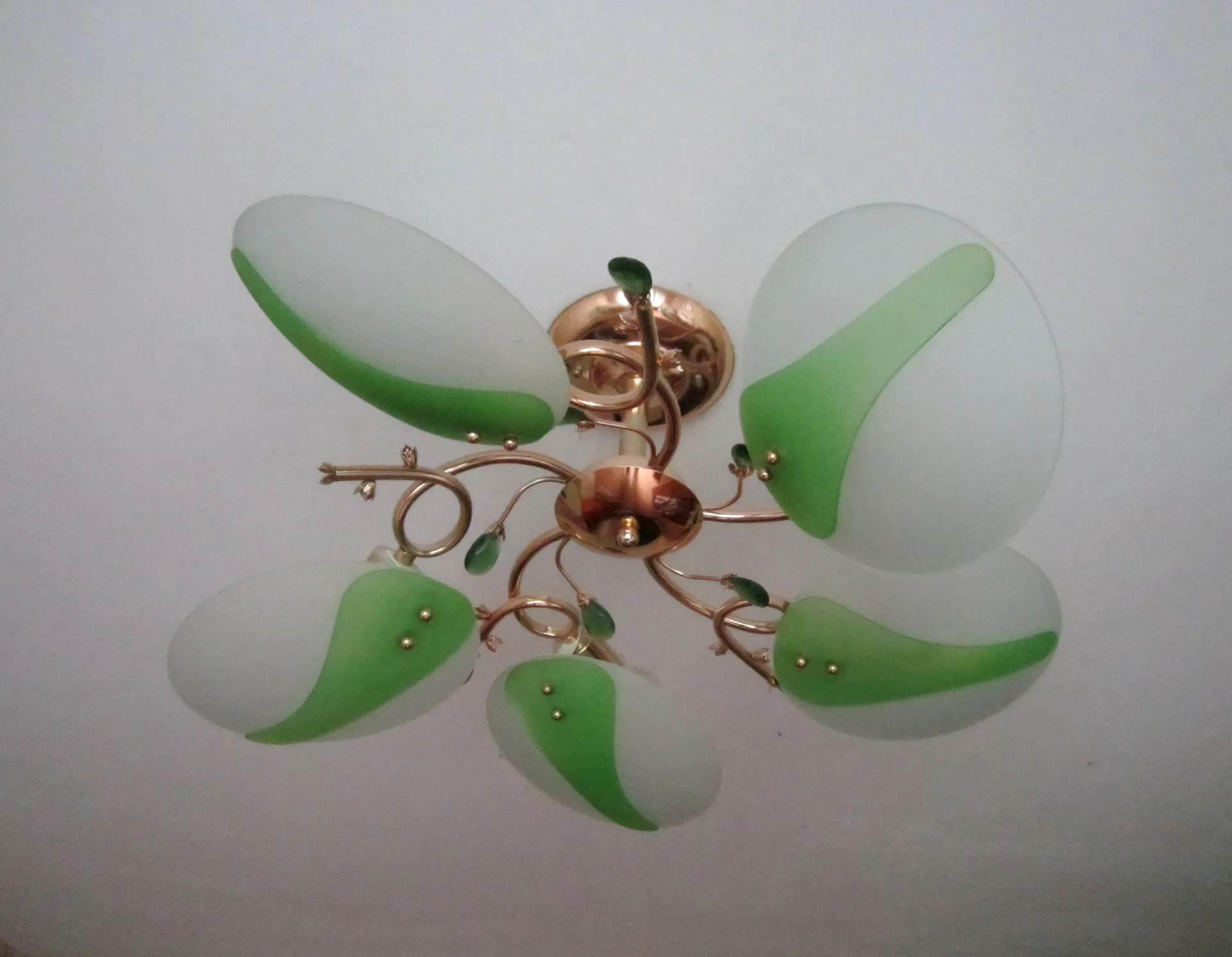 Фото: Олег Книжник