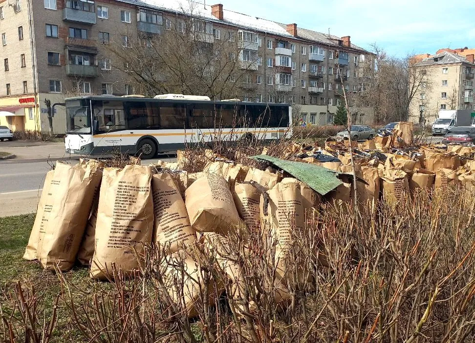 Фото: Олег Книжник