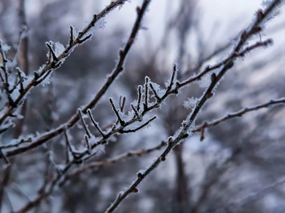 Резкое потепление: прогноз погоды в Москве и Подмосковье на выходные