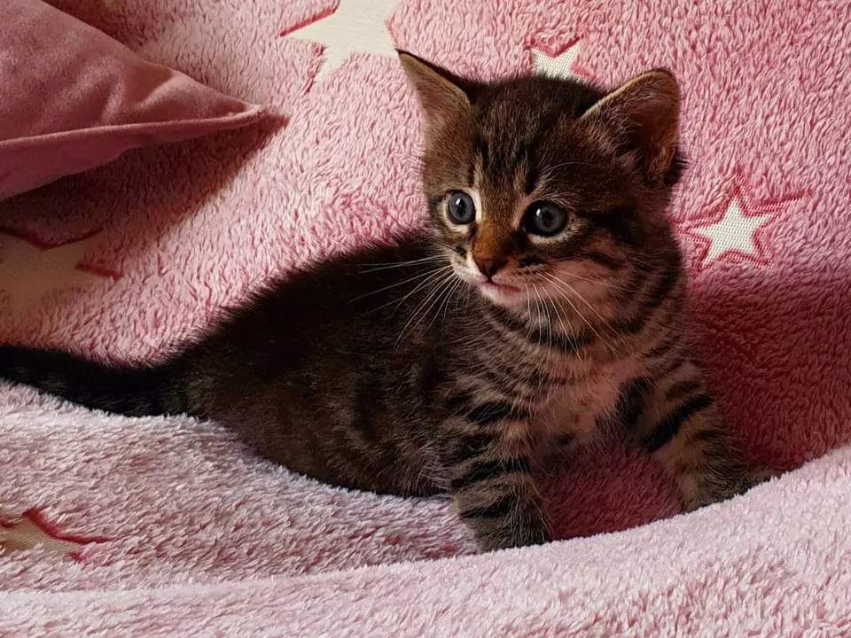 Фото: Наталия Надточая&nbsp;