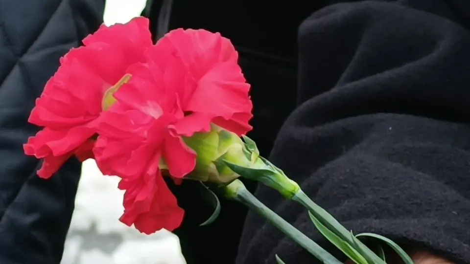 Фото: МедиаБанк Подмосковья/Екатерина Дятловская