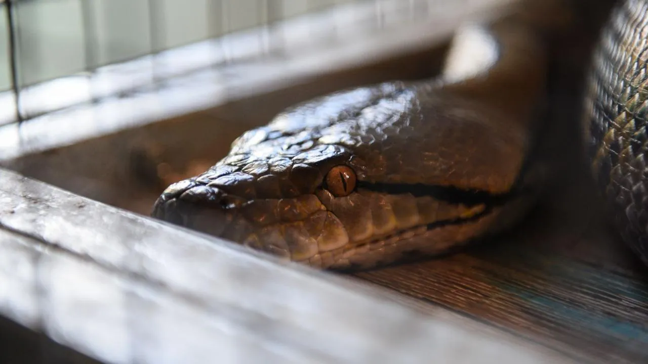 медиасток.рф