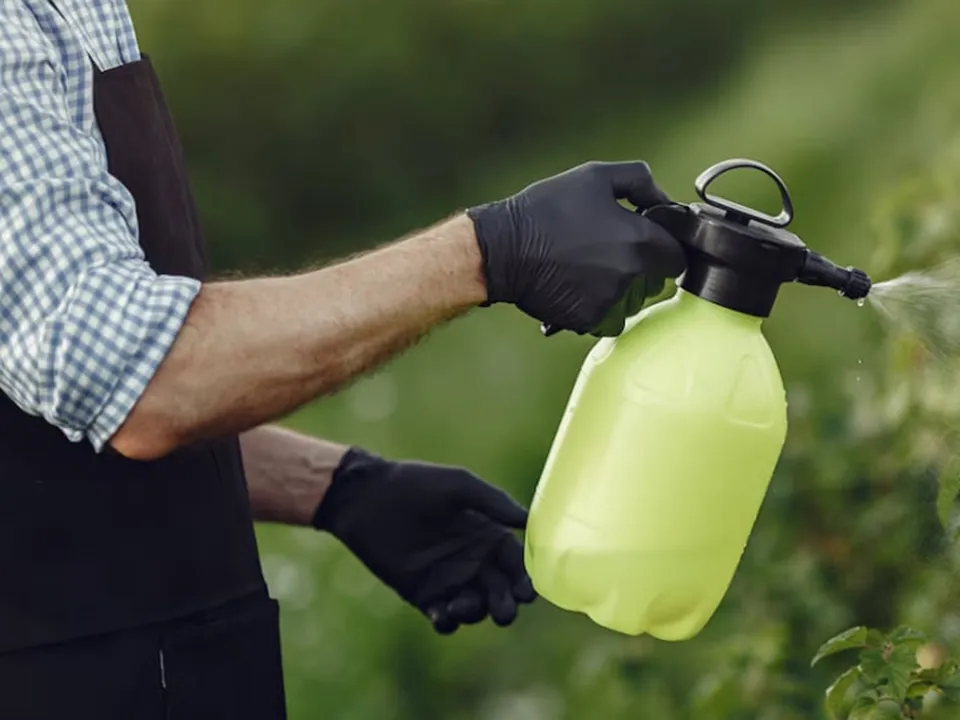 Фото: freepik.com