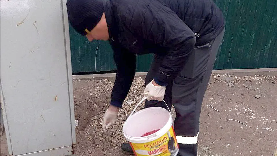 Фото: администрация г.о. Реутов