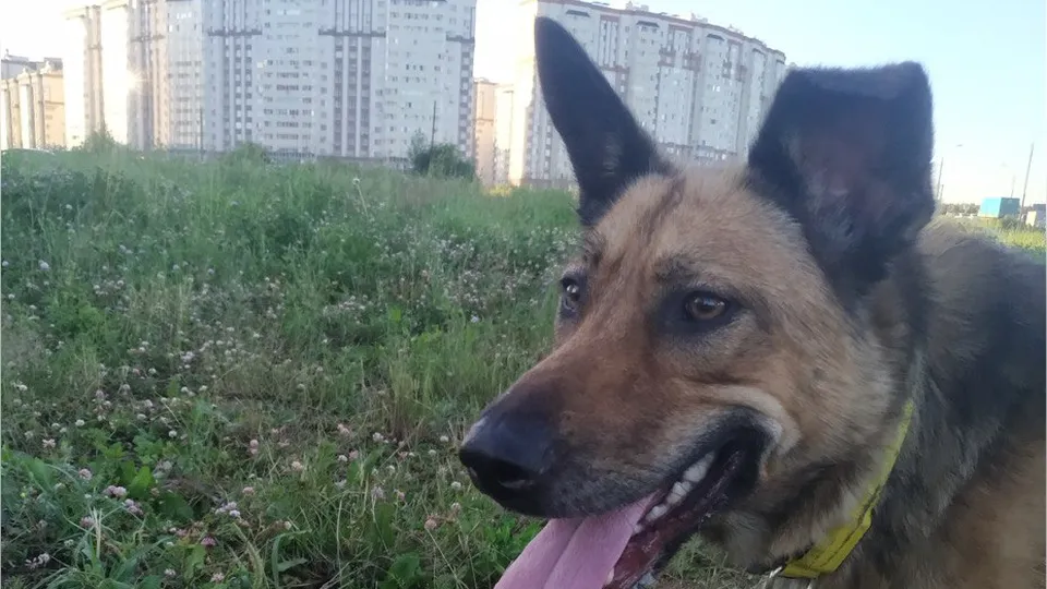 Фото: личный архив Андрея Егорова