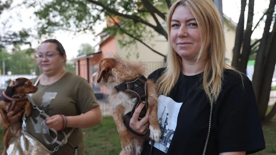 Фото: пресс-служба администрации Волоколамского м.о.