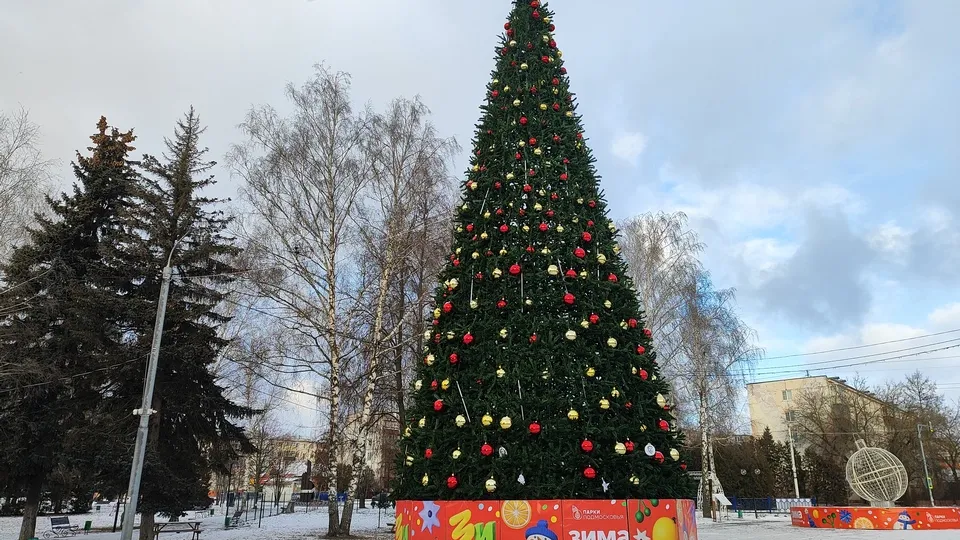 Фото: REGIONS/Александр Дрожжин