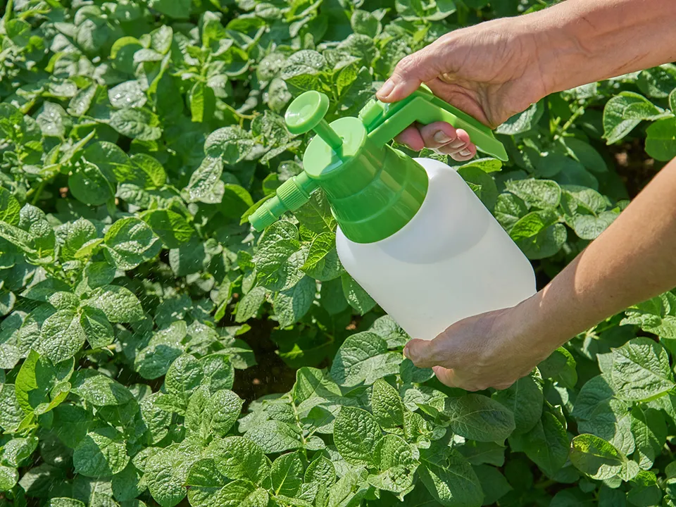 Фото: istockphoto.com