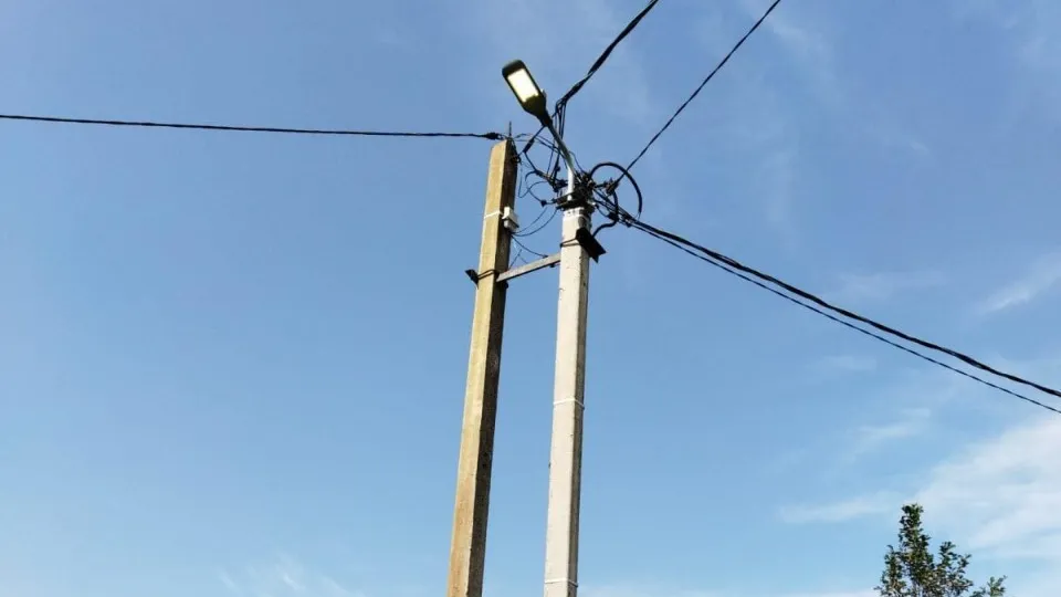 Фото: Администрация г.о. Шаховская