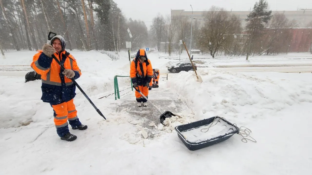 REGIONS/Анна Мороз