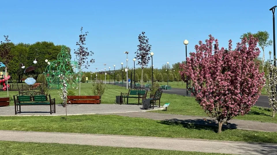 Фото: t.me/parkserebryanyy