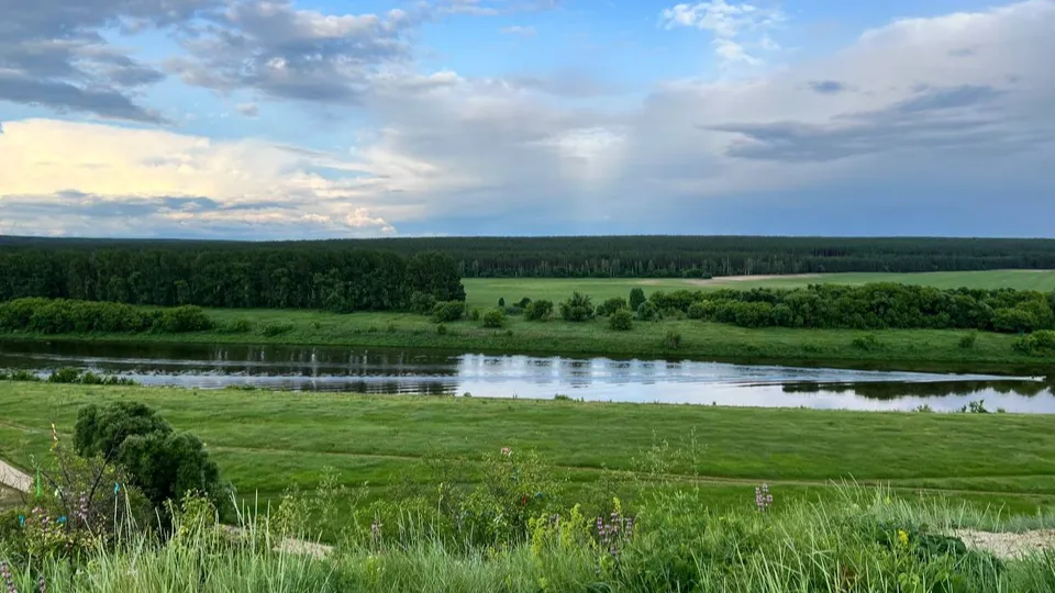 Фото: Елена Фурман