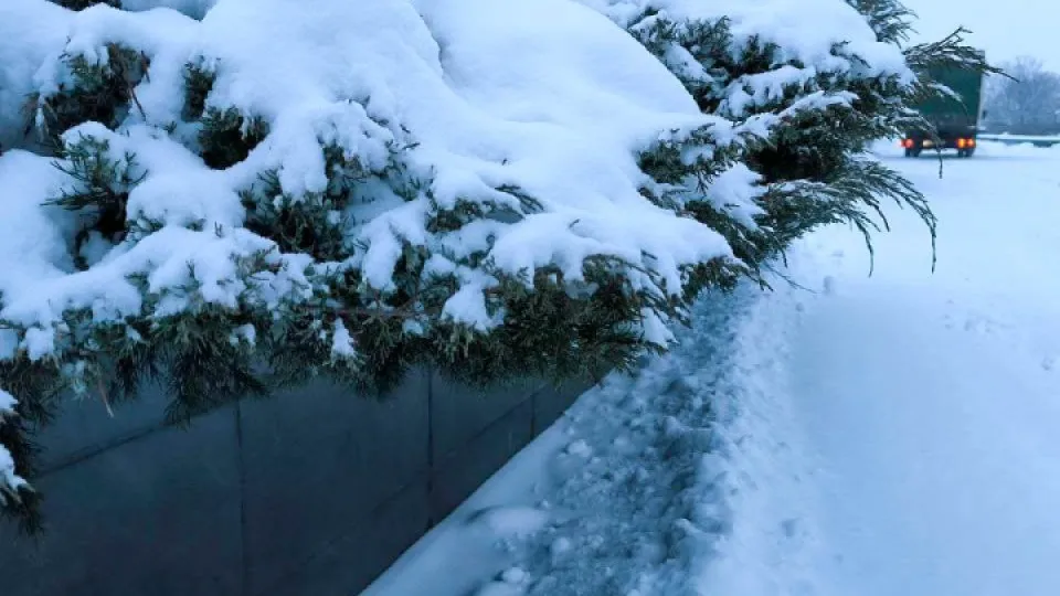 Фото: REGIONS/Роман Малышенко