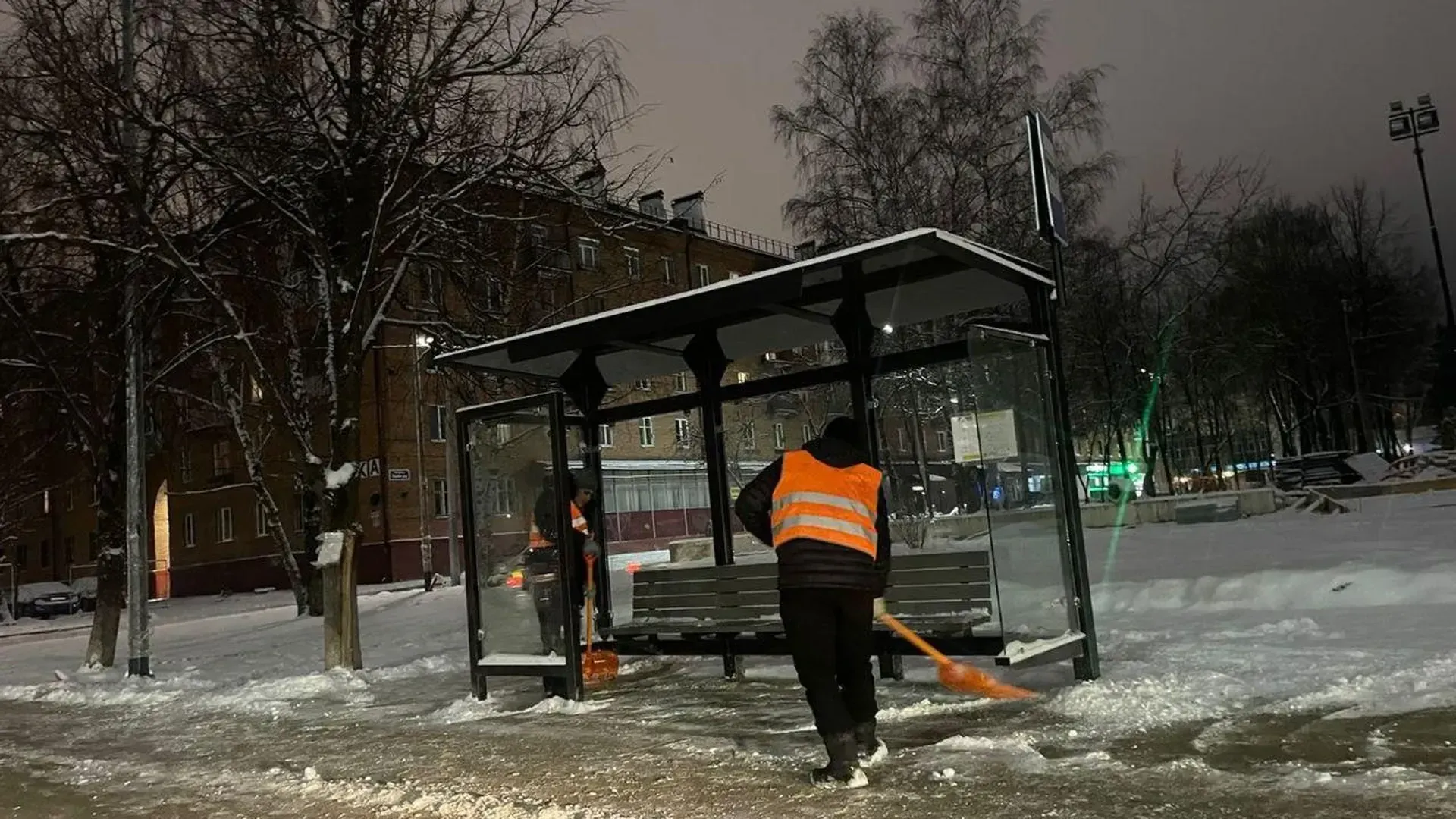 Фото: пресс-служба администрации г. о. Фрязино