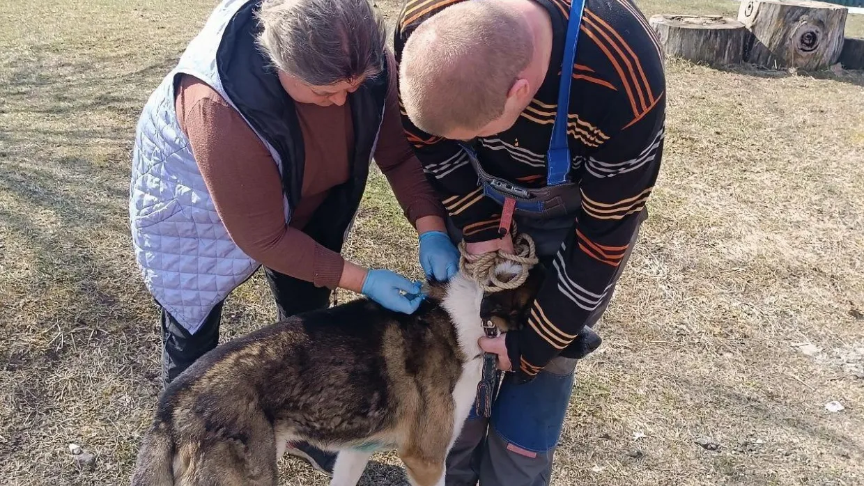 Фото: пресс-служба администрации м.о. Егорьевск