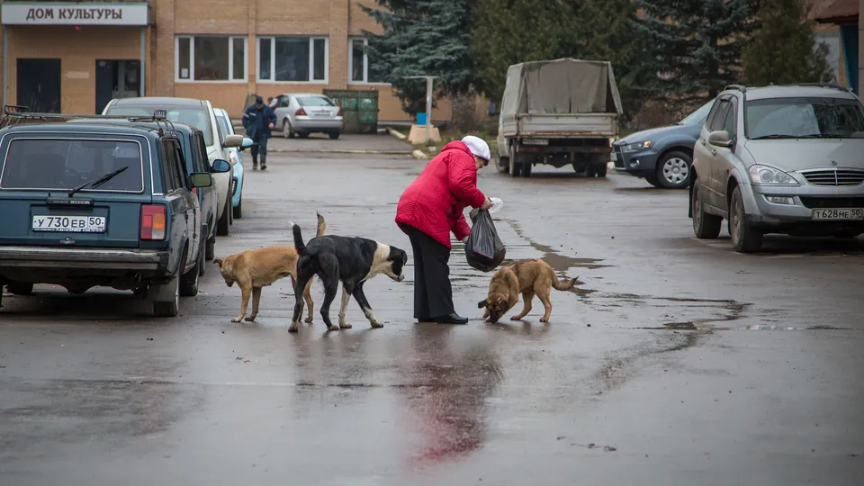 Фото: Павел Попов