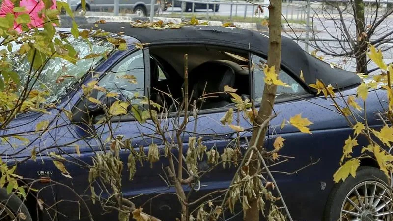 Автоворы с кирпичом начали орудовать в Дмитрове