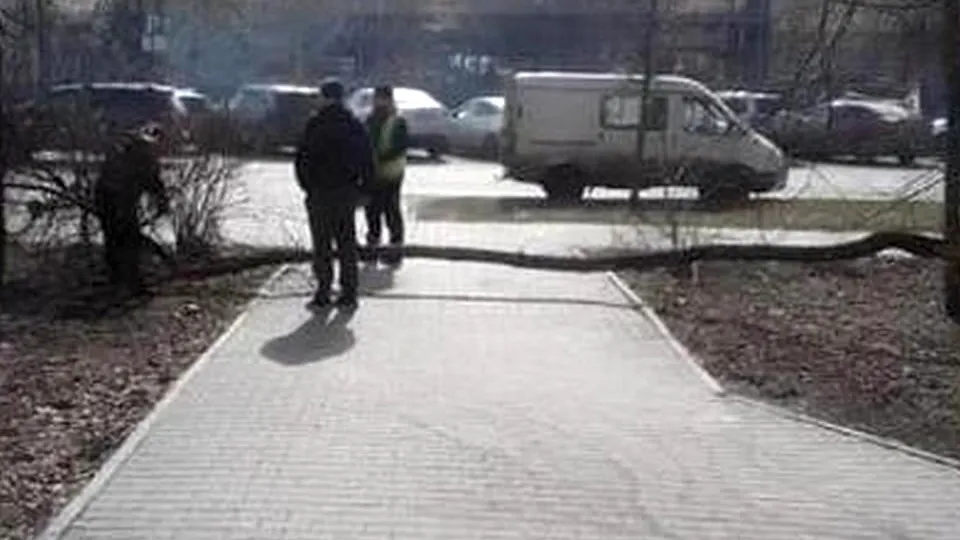 Фото: Пресс-служба Главного управления регионального государственного жилищного надзора и содержания территорий Московской области