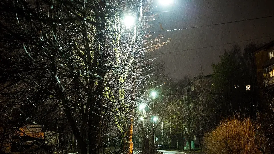 Фото: Министерство благоустройства Московской области