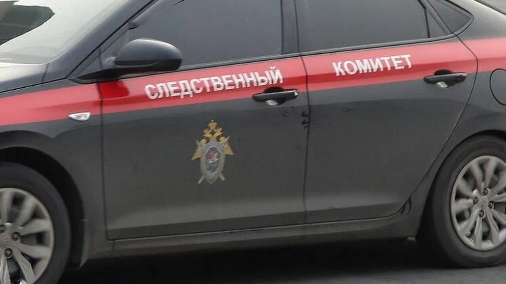 СК начал проверку блогера из Иркутска за ее пожелания смерти бойцам СВО