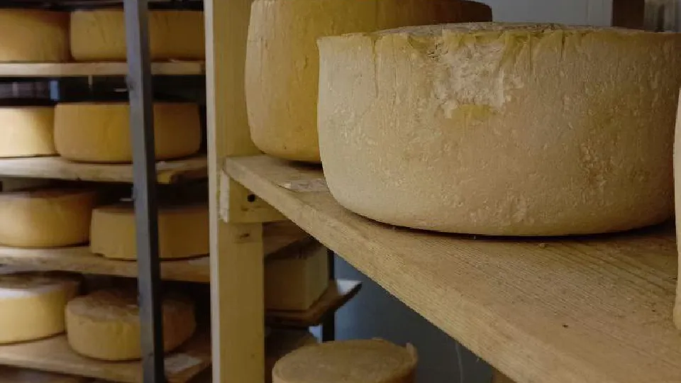 Фото: Евгений Рой