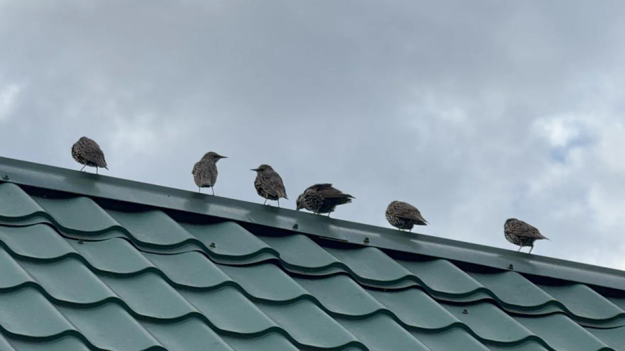 REGIONS/Илья Попов