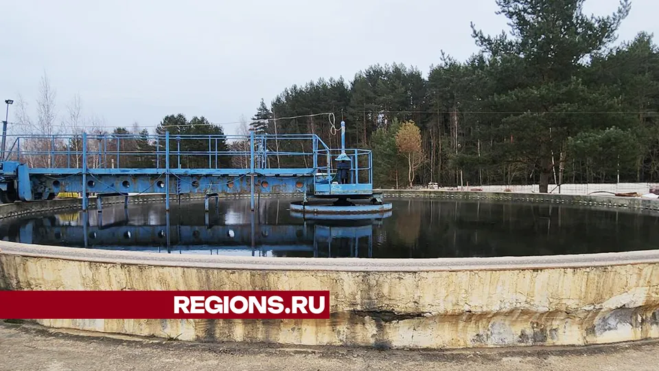 Фото: Хавива Фонина