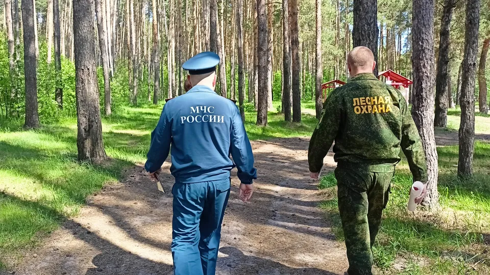 Фото: Комитет лесного хозяйства Московской области