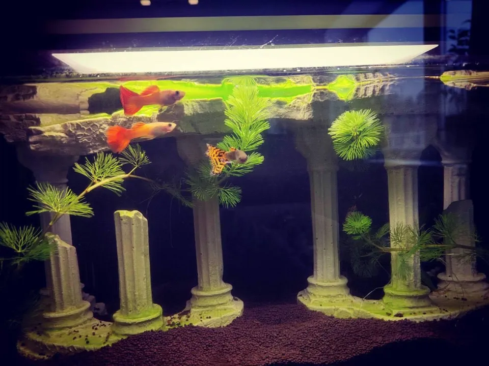 Фото: Министерство по содержанию территорий и государственному жилищному надзору МО