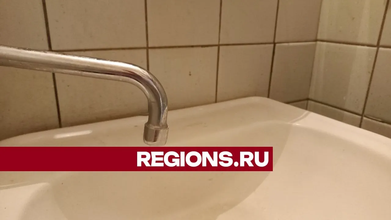 Фото: Олег Книжник