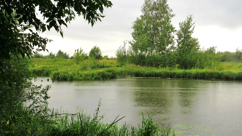 Фото: Андрей Снегерев